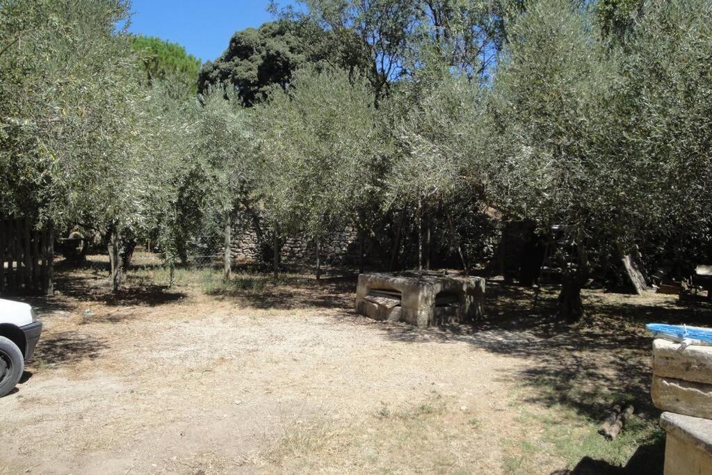 Le Mas De Lucien Entre Arles, Nimes, Avignon. Apartment Beaucaire  Exterior photo